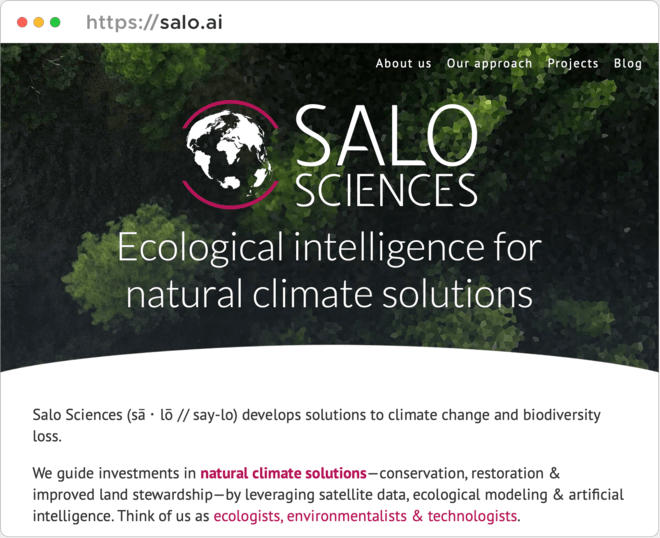 Screenshot of Salo Sciences